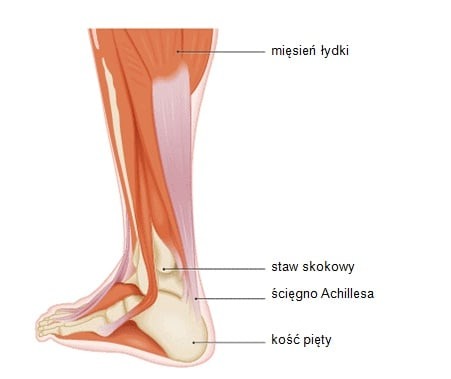 Ścięgno Achillesa